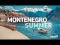 Montenegro webinar with hotel managers (in English)