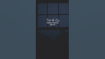 واتس اب قران كريم القارئ عبد الرحمن مسعد (سورة التوبة)