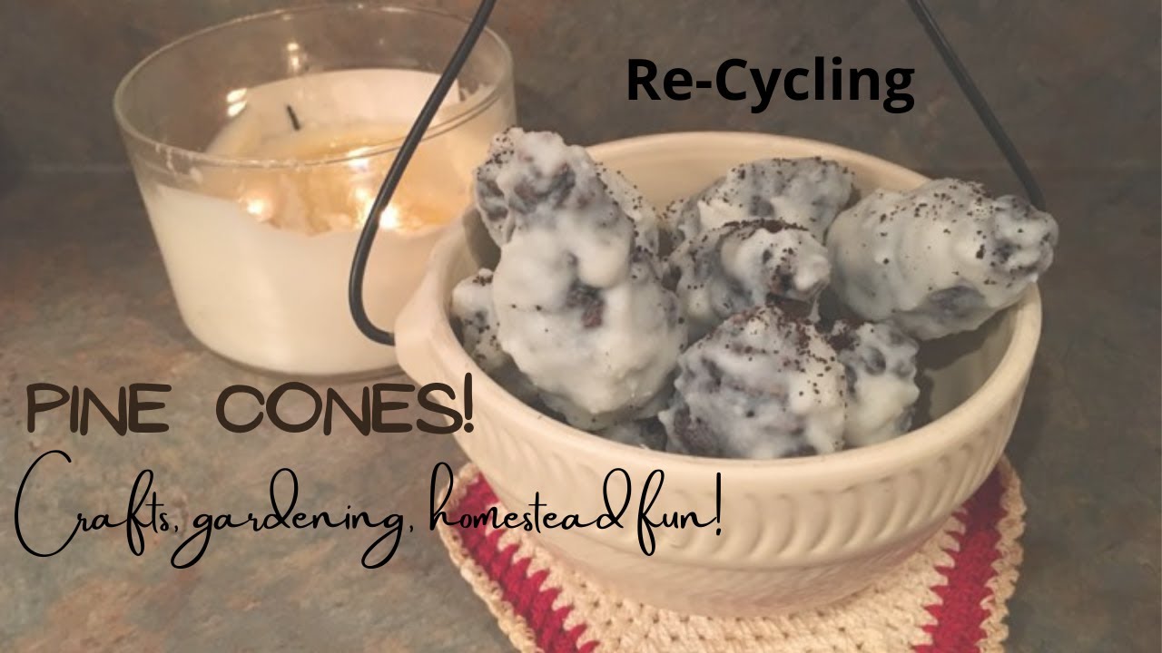 Homesteading with Pine Cones! Re-Using! Re-Cycling! Crafts & Gardening!