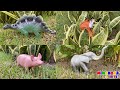 Nombres y Sonidos de Animales 🦛🦓 Cerdo Mono Dinosaurio Búho Ganso Gorila y mas ✨ Mimonona Stories