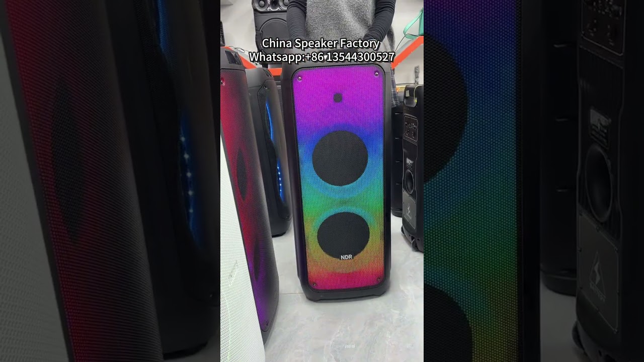 China speaker factory