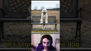 grounded SAM
