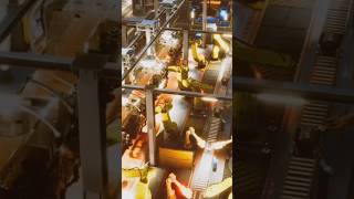 China’s Robot Army Will Shock You! 🤖 #ai #china #robotics