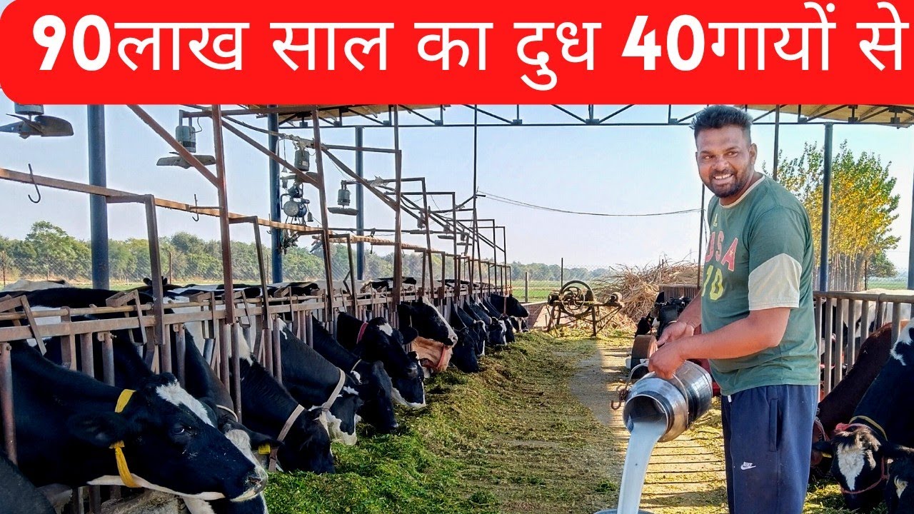 90 लाख साल का दूध 40 गयो से पंजाब के सफल डेरी फार्मर dairy farming in