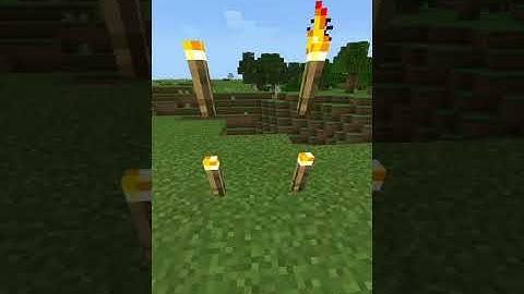Minecraft werid Logic Part-9 #short