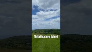 Kia ora from Tiritiri Matangi Island! #travelling #travel #newzealandtourism #newzealand