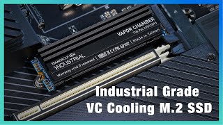 Industrial Grade Vc Cooling M.2 Ssd Teamgroup Industrial New Product Release