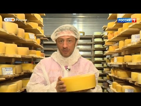 Насколько качественный сыр в России?