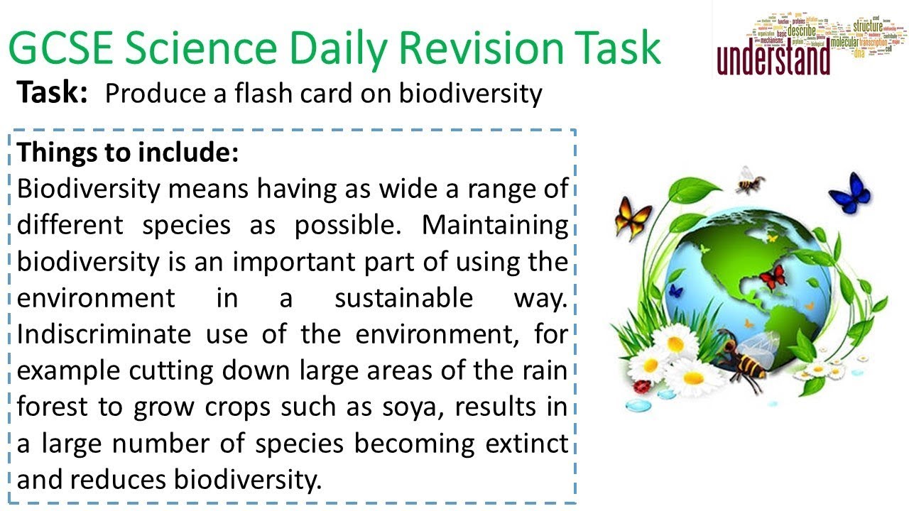 GCSE Science Daily Revision Task 196 - YouTube