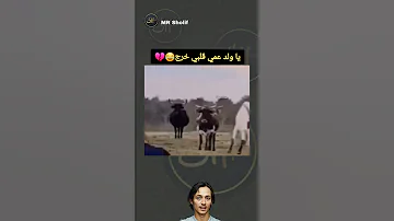 يا ولد عمي قلبي خرج ههههههه Shortvideo Funny مقاطع مضحكة Mrsholif 