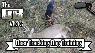 Dog's First Year of Training & Tracking Deer w/ Michael DeLoach of Livingston GunDogs | Ep: 235 by DogBoneHunter 379 views 1 month ago 1 hour, 46 minutes