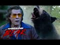 Cocaine Bear Official Trailer 