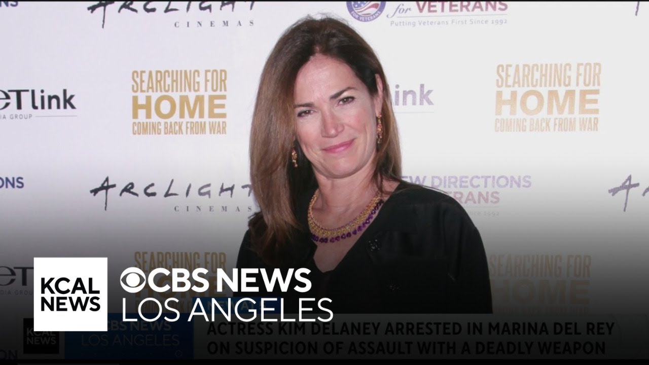 Kim Delaney, actress known for "NYPD Blue," arrested in domestic dispute