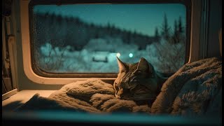 [NO MID ADS] 10 HOURS of CAT PURRING and TRAIN NOISE, a purrfect combo to RELAX,SLEEP, MEDITATE