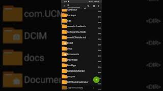 How to apply a script or glich file to any app.