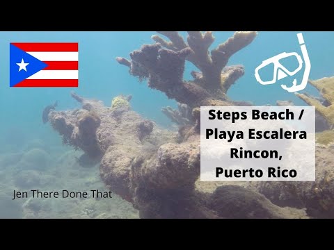 Steps Beach Rincon, Puerto Rico Snorkel & Scuba Diving | PADI Women Dive Day July 2021