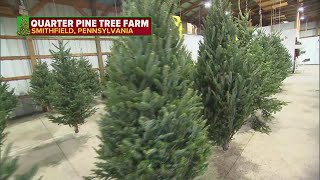 The journey of a Christmas tree