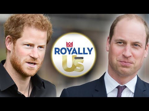 Prince Harry On Brother Prince William Skipping Lilibet's Birthday Celebration? | Royally Us