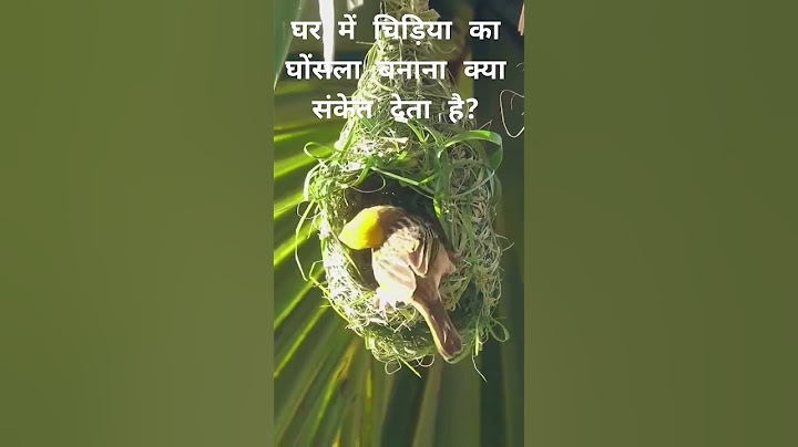 #घर में #चिड़िया का घोंसला बनाना क्या संकेत देता है? #shorts  #vastushastra  #birdnest