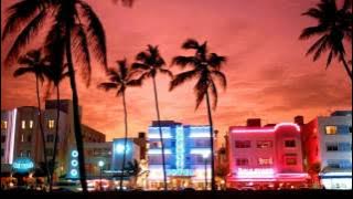 MIAMI NIGHT 1984- ON THE RUN