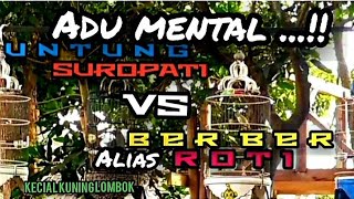 Adu Mental Untung Suropati vs Ber Ber ( ROTI )
