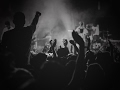 OrganekVEVO Live Stream