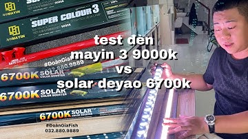 TEST ĐÈN SOLAR DEYAO 6700k VS MAYIN 3 9000k - quá xịn #đoàngiafish Zalo 032.880.9889 Mr.Hoàng