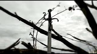 Kaeck Tegen een scharlaken horizon