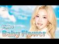 tripleS - Baby Flower | 2026 울산뮤직페스티벌 | Show! MusicCore