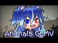 Animals ¦ Maroon 5 ¦ Gacha Life Music Video