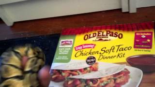 Super lemon pastel 66% het ghost ball python