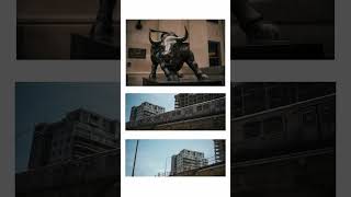 Daily photo walks with the Nikon Zf #nikon #nikonzf