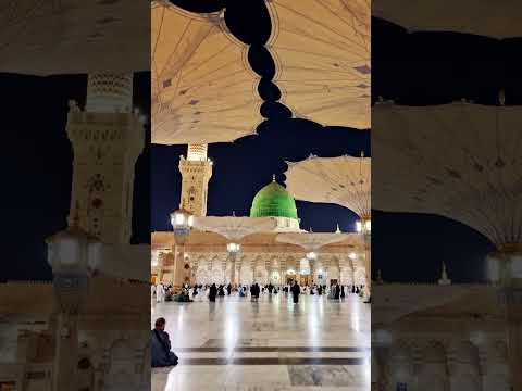 #shortsfeed #ai #naat #muhammadﷺ #bakraeid