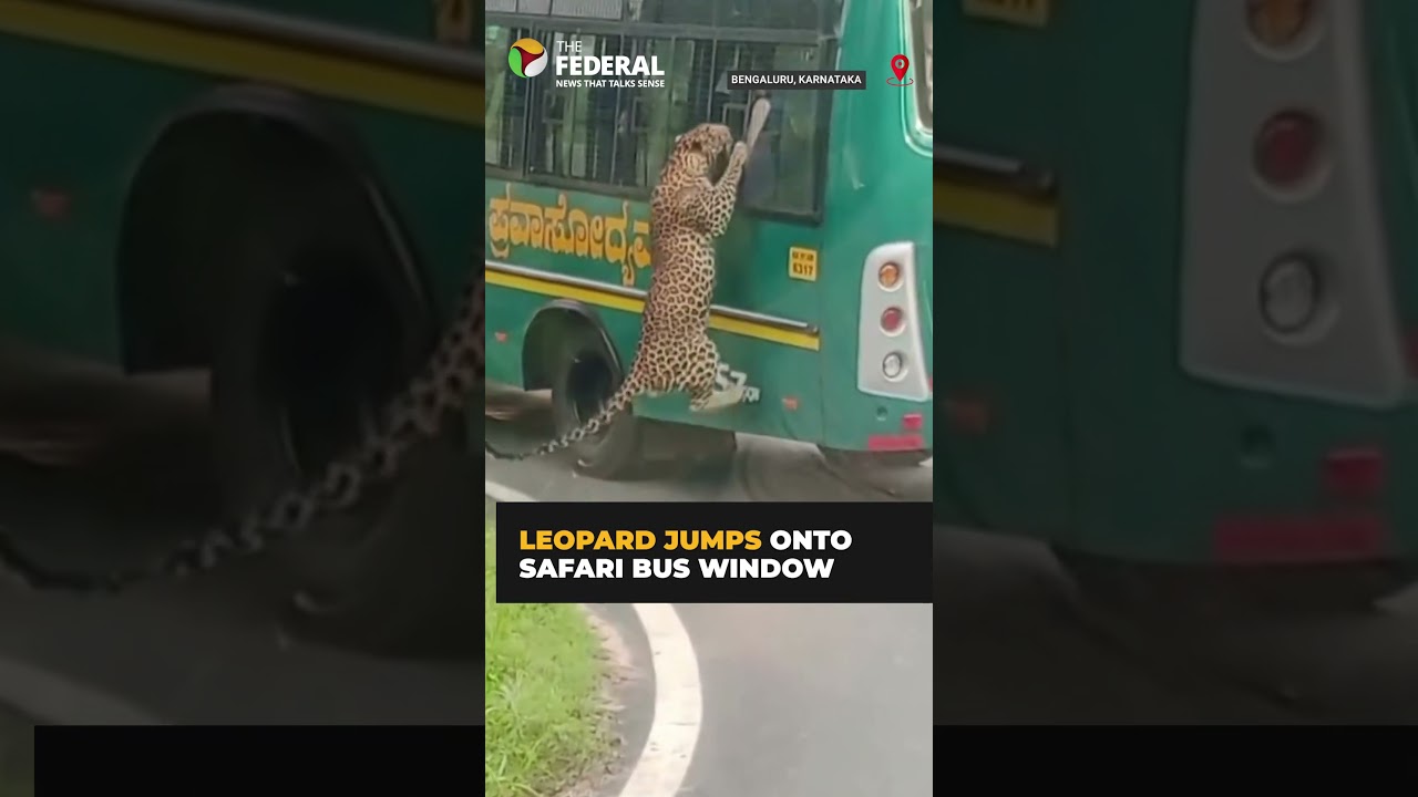 #Leopard