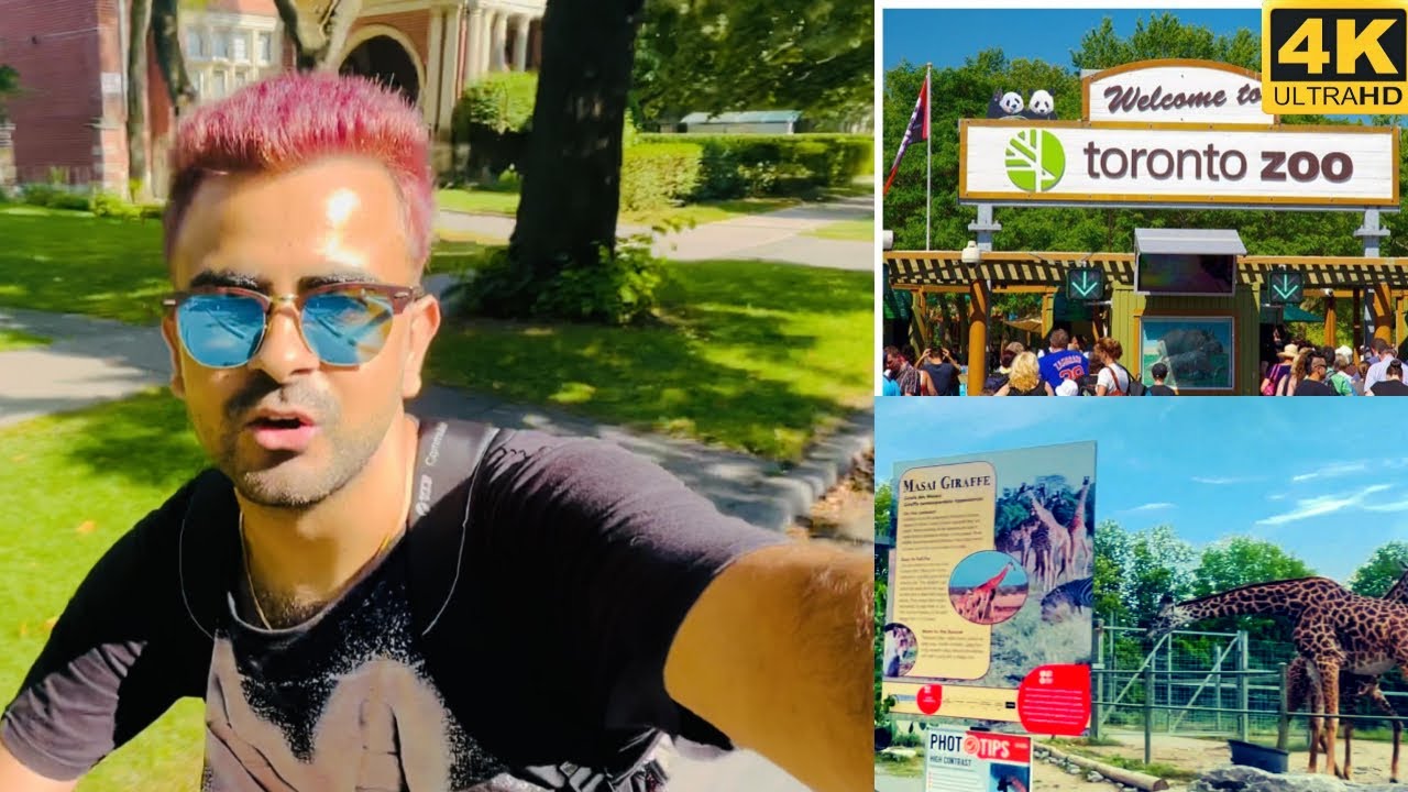 TORONTO ZOO | BEST ZOO OF CANADA | WALKING THROUGH TORONTO ZOO | 4K VIDEO |
