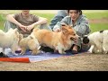 24 Hours The Best Anti-Anxiety Music for Dogs! Dog TV & Prevent Boredom and Anxiety of Dogs