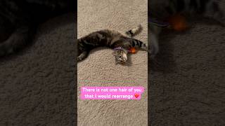 She Is Absolutely Adorable And Perfect