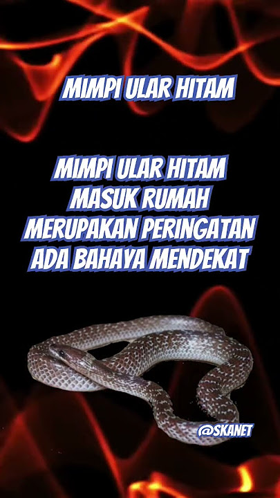 arti mimpi melihat ular hitam #pertanda