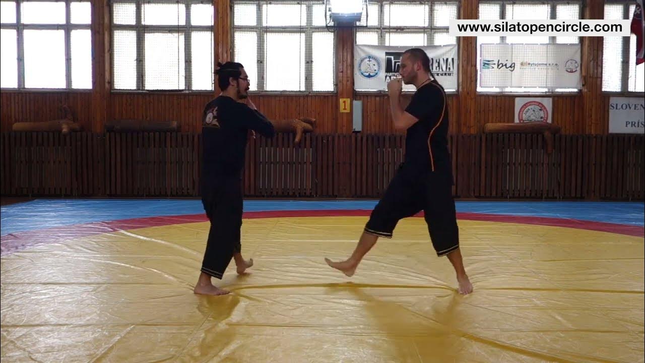 Roundhouse Kick удар