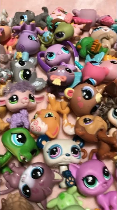 The Littlest Pet Shop Stop