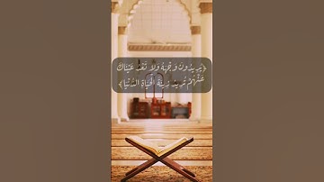 القارئ سعد الغامدي ما تيسر من سورة -الكهف