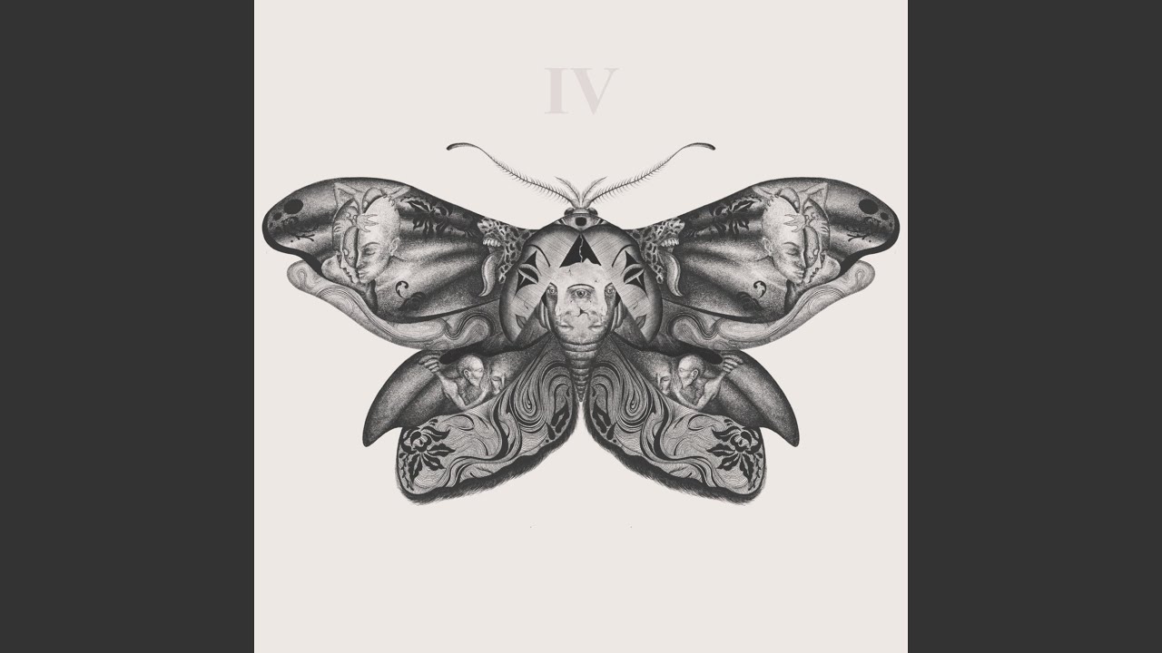 Moth - YouTube