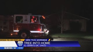 Chico Fire Department Has Been Responding To Reports Of Downed Trees And Branches