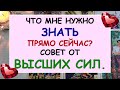 ⚡ ЧТО МНЕ НУЖНО ЗНАТЬ ПРЯМО СЕЙЧАС? ✨ СОВЕТ ОТ ВЫСШИХ СИЛ. ✨ Tarot Diamond Dream Таро