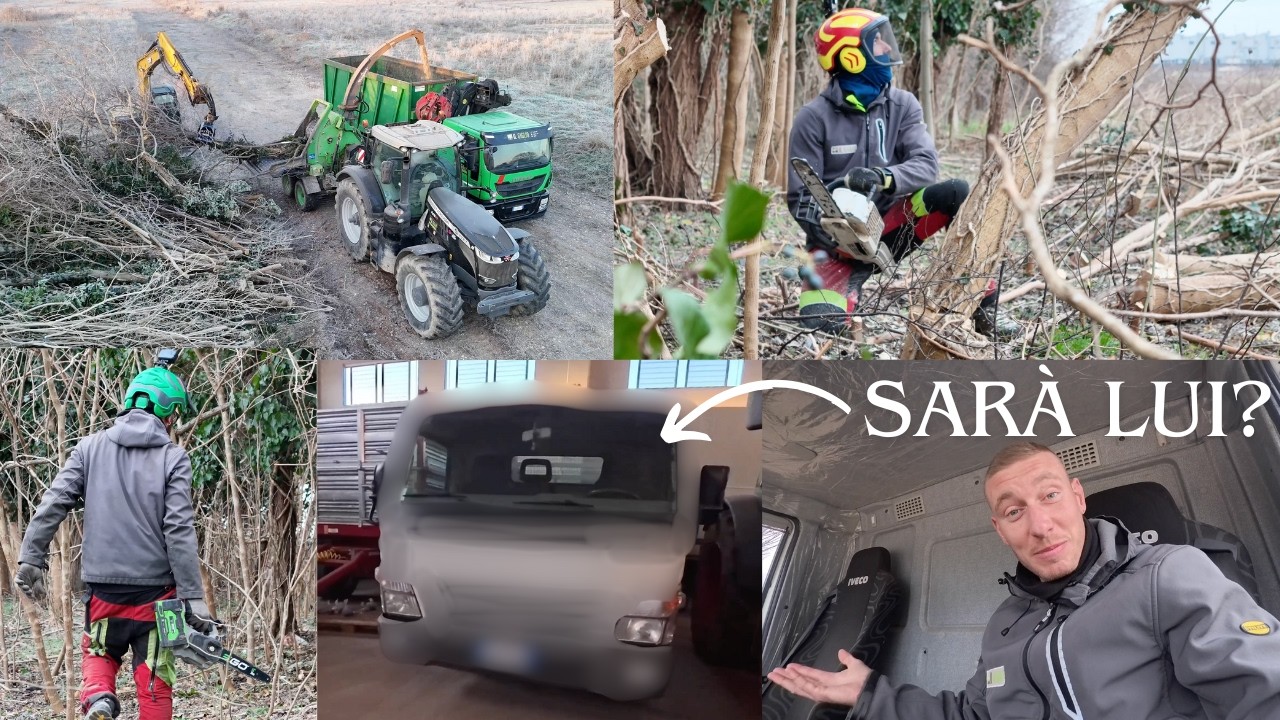 ABBIAMO TROVATO IL SOSTITUTO DELL'EUROCARGO GIALLO, CANTIERE CON TAGLIO E CIPPATURA