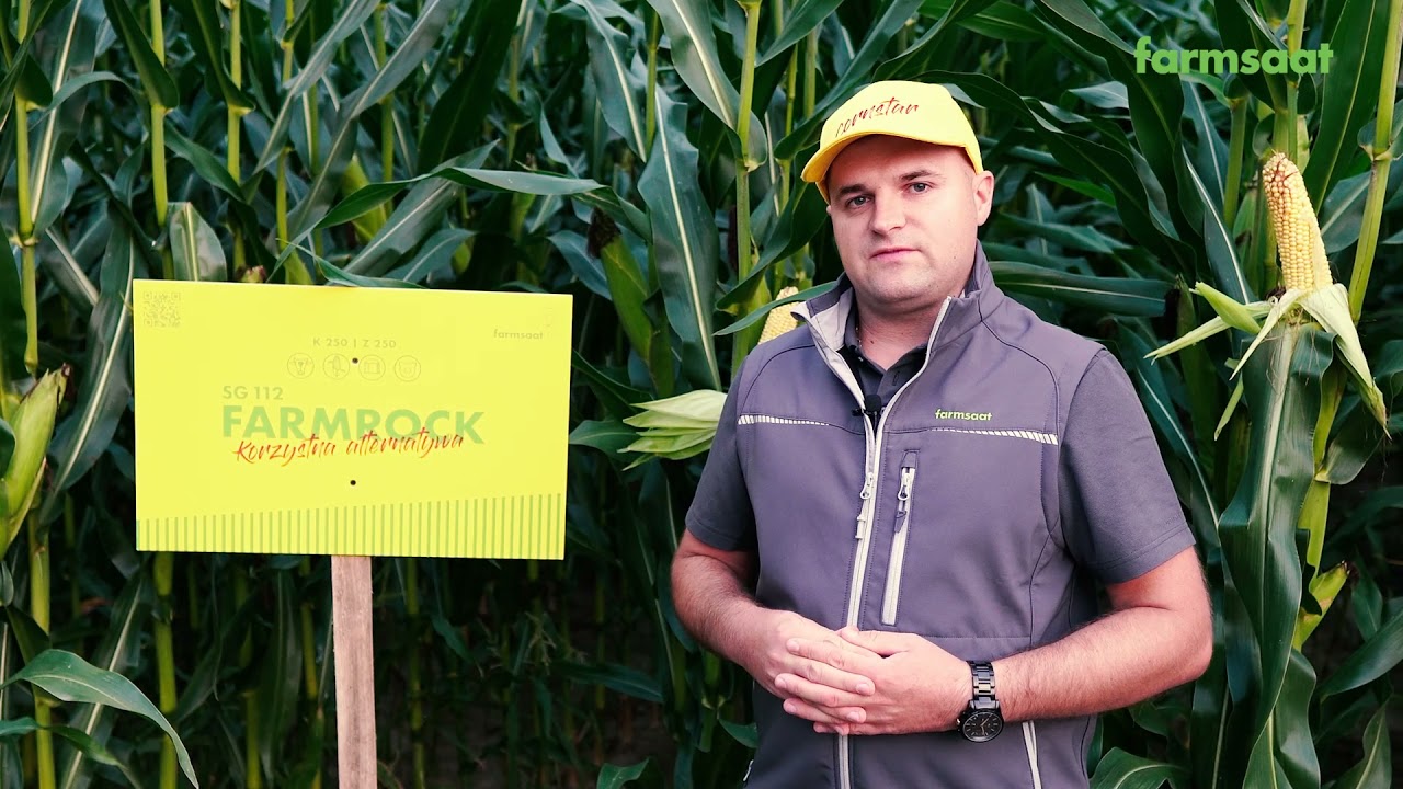 Kukurydza Farmrock