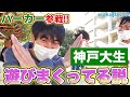 YouTuberパーカーが参戦！神戸大生、遊んでる説【wakatte.TV】#453