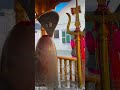 jai bhole baba..#@VijayGurung-r5c #shiv #bholenath #bhakti #viral #devotional