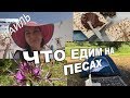 НА МОРЕ , МАГАЗИННЫЕ ПОЛКИ НА ПЕСАХ  2019