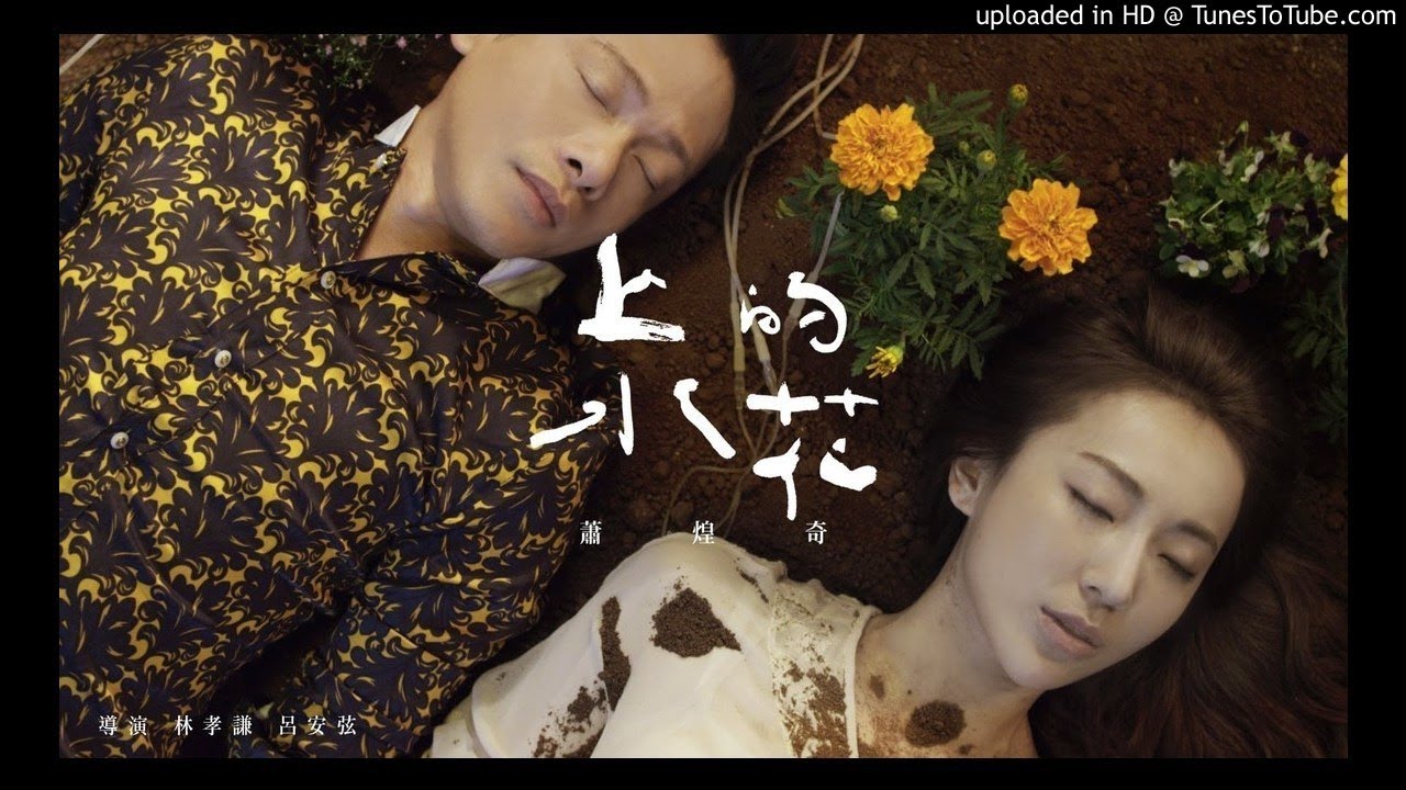 蕭煌奇 上水的花 KTV  伴奏 純音樂 去人聲